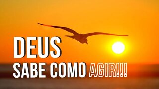 MANHÃ COM DEUS 2 FEV — DEUS SABE COMO AGIR