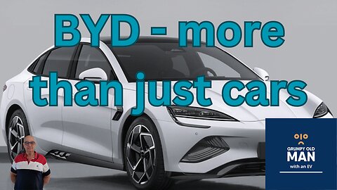 BYD more than just a car company