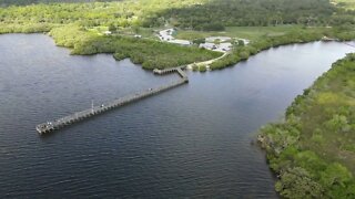 Anclote Gulf Park Dolphins and Manatees