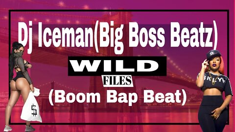 Dj Iceman (Big Boss Beatz) Wild Files