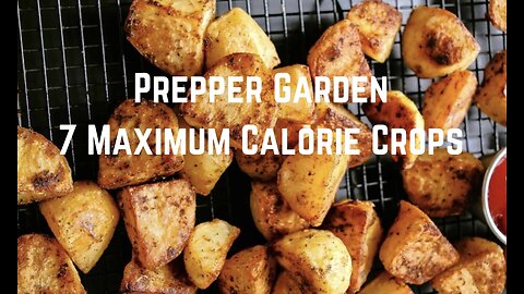 Prepper Garden: 7 Maximum Calorie Crops