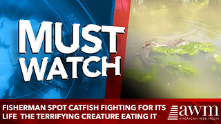 Fisherman Spot Catfish Fighting For Its Life See The Terrifying Creature Eating It