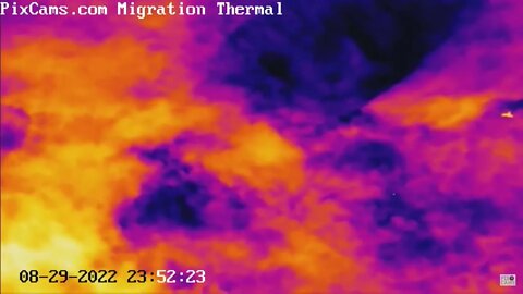 Nocturnal Migration on Thermal Camera - 8/29/2022 @ 23:52 - Slow-Motion View