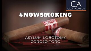 #NS: Asylum Lobotomy Corojo Toro Cigar Review