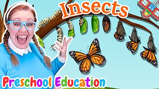 Preschool Learning | Patterns & Cycles w/ INSECTS! | Kids Education | Free Printable Worksheets!