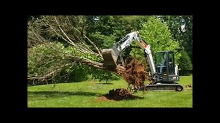 Kentucky road trip & farmhouse yard clean up PART 2/2 Bobcat e42 action!