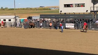 Bronc Ride at Rodeo