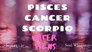 WATER SIGNS: Pisces Cancer Scorpio*A Critical and Timely Moment for You
