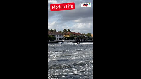 Florida Life 🚤🌴 #floridalife #Florida #fortlauderdale #miami #boat #yacht #beach #miamibeach