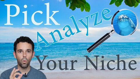 Pick And Analyze Your Niche