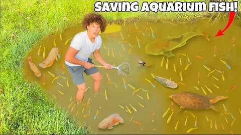 Saving TONS Of AQUARIUM FISH From ABANDONED Pond!