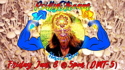 PsillyStream: Heroic-dose Third-eye Pry Livestream! Channeling the Universal Mind. Part 3 of 3