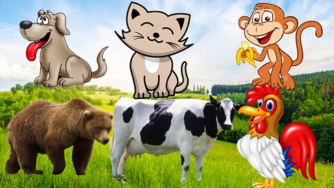 Animal in the world,chiken,dog,cat,rabit,crocodille,lion,zebra,elephant,horse