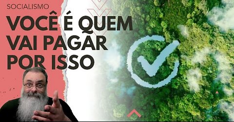 CONGRESSO aprova MERCADO de CARBONO e vai EXIGIR COMPENSAÇÃO de CARBONO de TODO MUNDO que TEM CARRO