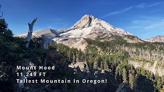 SPECTACULAR Mount Hood Wilderness Views from the Cloud Cap Inn Zone! | Timberline Loop | 4K | Oregon