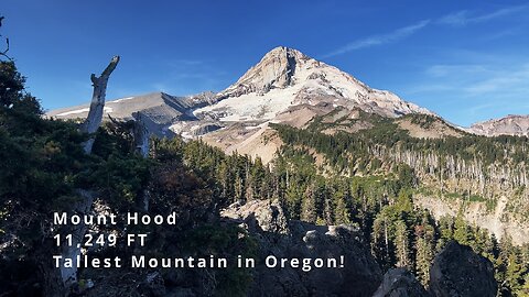 SPECTACULAR Mount Hood Wilderness Views from the Cloud Cap Inn Zone! | Timberline Loop | 4K | Oregon