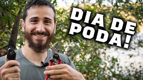 Vamos cuidar do nosso pomar! - Chácara SV