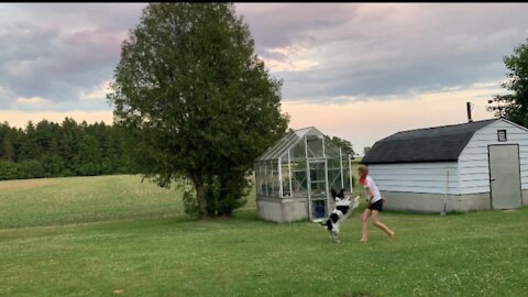 Playful dog get her energy out by chasing after owner