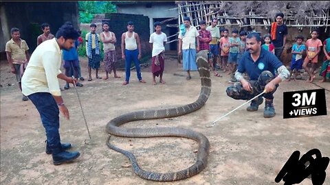 When the world's longest snake was found inside the hut