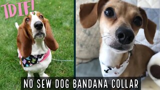 TDIF! No Sew Dog Bandana Collar