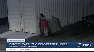 Catalytic Converter Thieves
