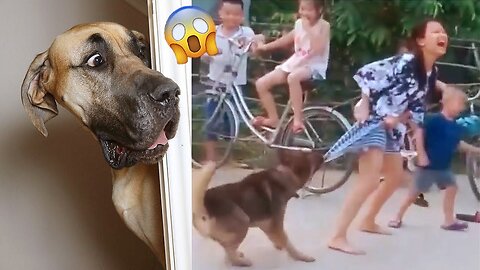best funniest animal videos 2023🤣 | funny cat videos😹 | funny dogs videos
