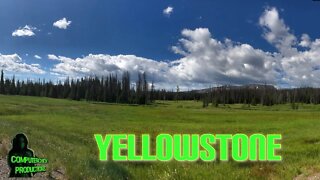 Yellowstone 2019 River Shot #Shorts