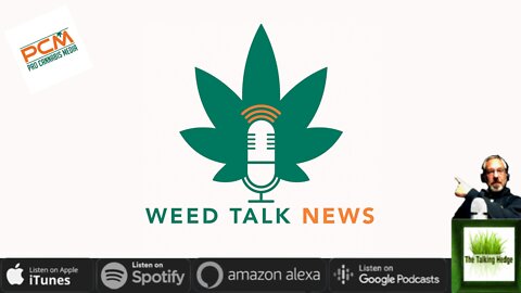 Weed Talk News