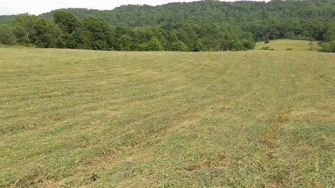 🍃 HAY FIELD BEING CUT ON JUNE 8, 2020 🍃