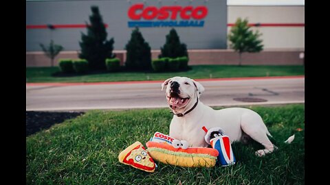 National Dog Food Shortages! Costco Restricts Dog Food Purchases!!!