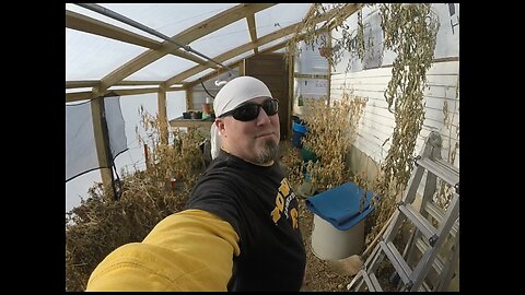 Greenhouse Workout Chamber