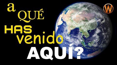 ¿A qué has venido aquí?