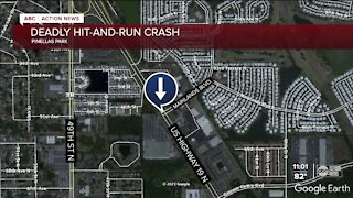 Police searching for driver involved in deadly hit-and-run in Pinellas Park