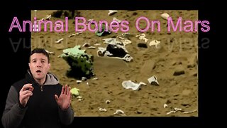 Nasa Lies Bones on Mars
