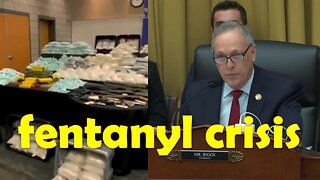 "The Fentanyl Crisis in America: Inaction is No Longer an Option" hearing - Opening statements