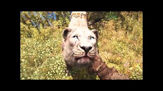 Far Cry Primal 4k