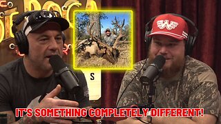 Joe Rogan talks about Elk hunting with Luke Combs │JRE Clips