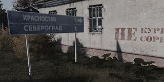 DayZ