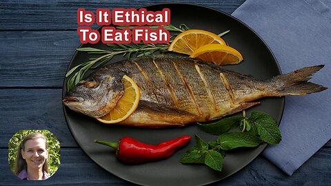 Is It Ethical To Eat Fish If They Feel Pain?