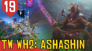 Invadindo as Ilhas do Sul - Total War Warhammer 2 Ashashin #19 [Gameplay Português PT-BR]