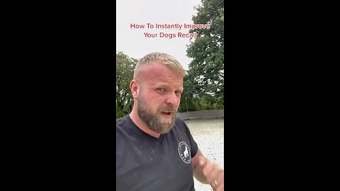 How To Instantly Improve Your Dogs Recall