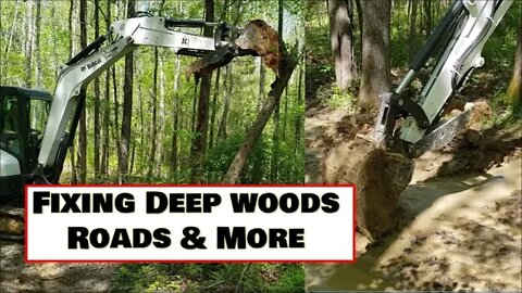 Fixing Deep woods trail ruts & more with Bobcat Mini Excavator Illinois