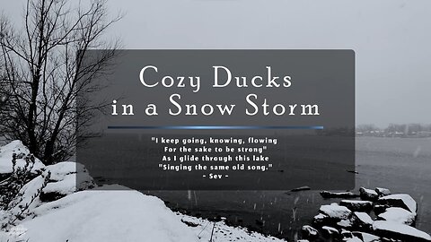 Cozy Ducks in a Snow Storm – Calm Winter Ambience & Relaxing Instrumental Country Folk Blues Music