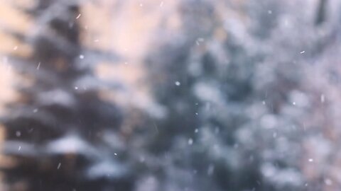 Winter • Relaxing Windy Snow Storm Sounds, for Sleep & Meditation