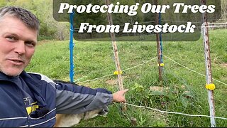 Creating Silvopasture: Protecting Trees From Livestock