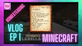 Minecraft Homesteading Vlog EP 1 - Cornbread and Lemonade