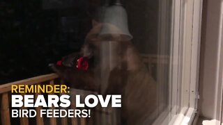 Reminder: In Colorado, your bird feeder can become a bear feeder