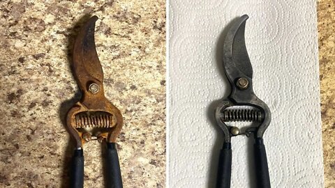 Remove Rust Like A Champ!! | Resurrect Your Garden Tools!!!