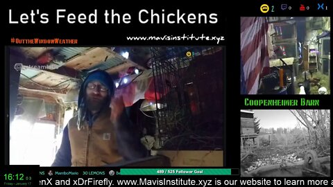 Let's Feed the Chickens : EP 31 : Ice Storm Prep