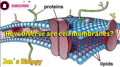 How diverse are cell membranes??